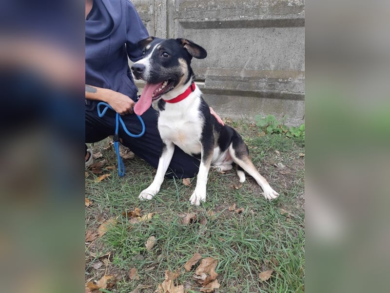 Wer verliebt sich in den hübschen Frank !