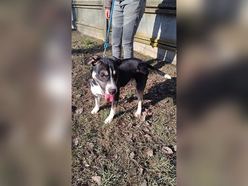 Wer verliebt sich in den hübschen Frank !