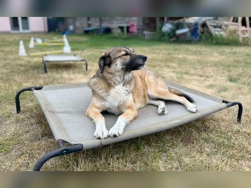 Rosy wünscht sich eine eigene Familie