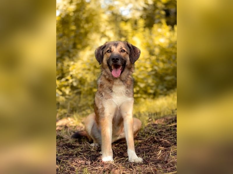Rosy wünscht sich eine eigene Familie
