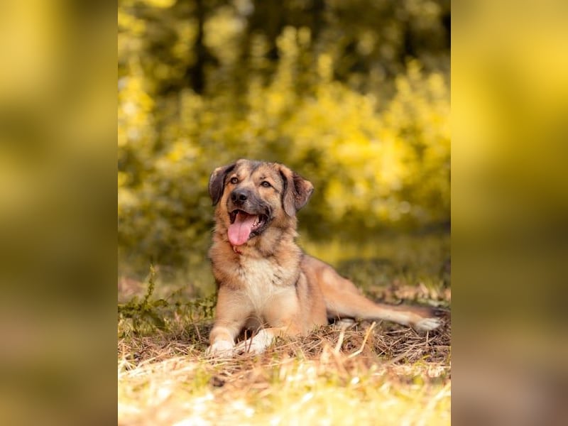 Rosy wünscht sich eine eigene Familie