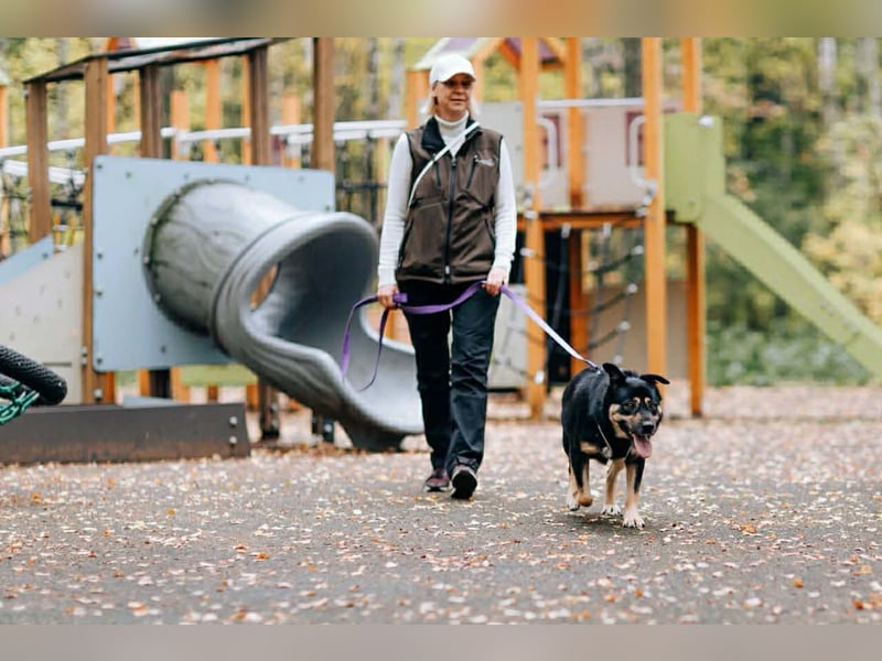 Unkomplizierte Prada sucht ihre Menschen