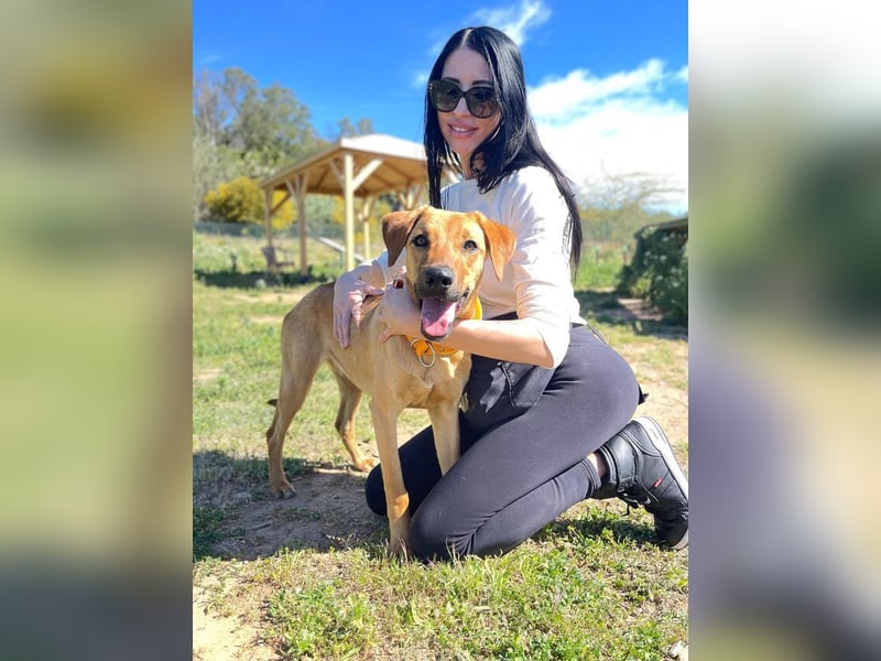 Lucky (Spanien) – eine junge Hündin auf der Suche nach ihrem ersten echten Zuhause