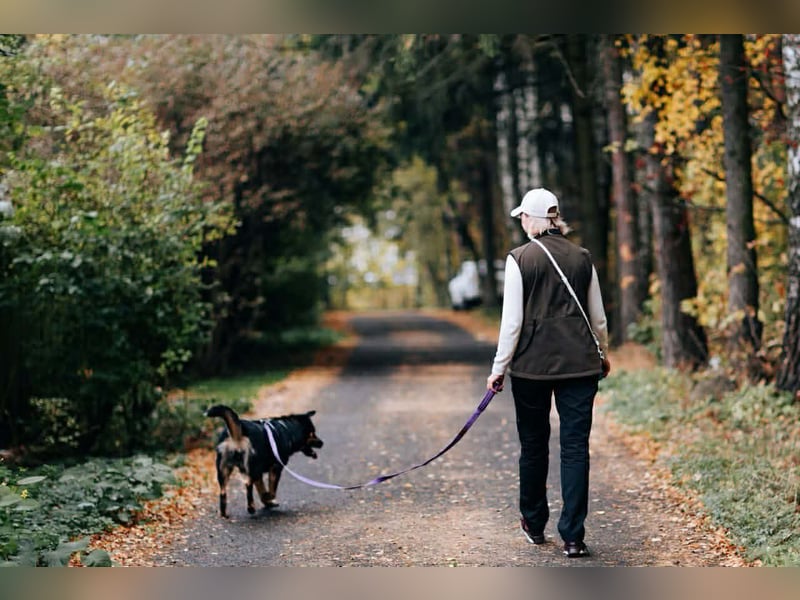 Unkomplizierte Prada sucht ihre Menschen