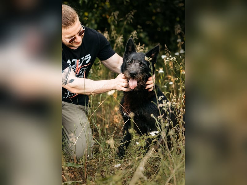 Fröhliche Ajda sucht liebevolles Zuhause