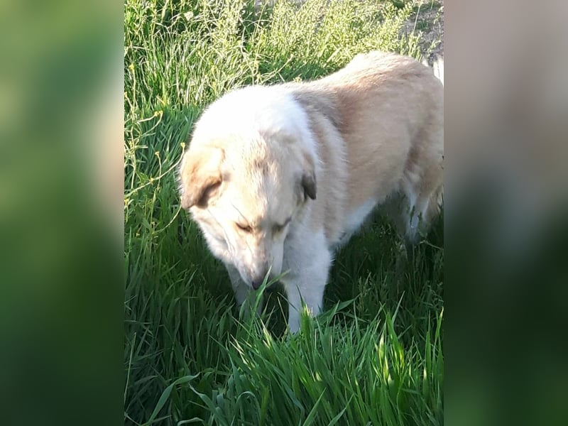 Samantha will gerettet werden