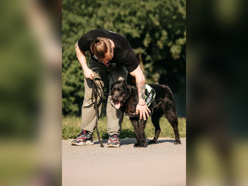 Fröhliche Ajda sucht liebevolles Zuhause