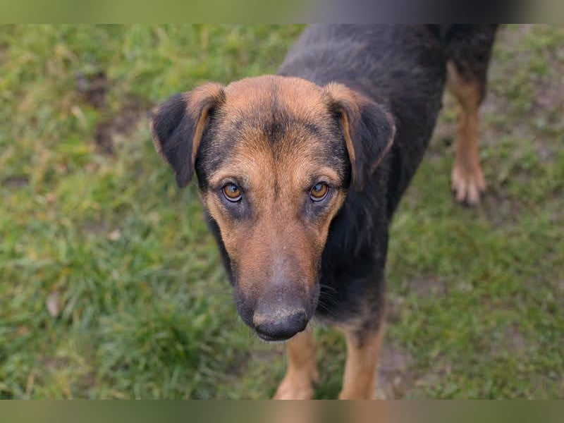 MARIE - Sanfte, stille Schönheit sucht Menschen, die ihr die Welt zeigen