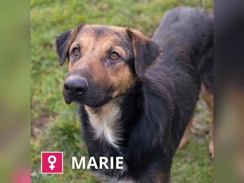 MARIE - Sanfte, stille Schönheit sucht Menschen, die ihr die Welt zeigen