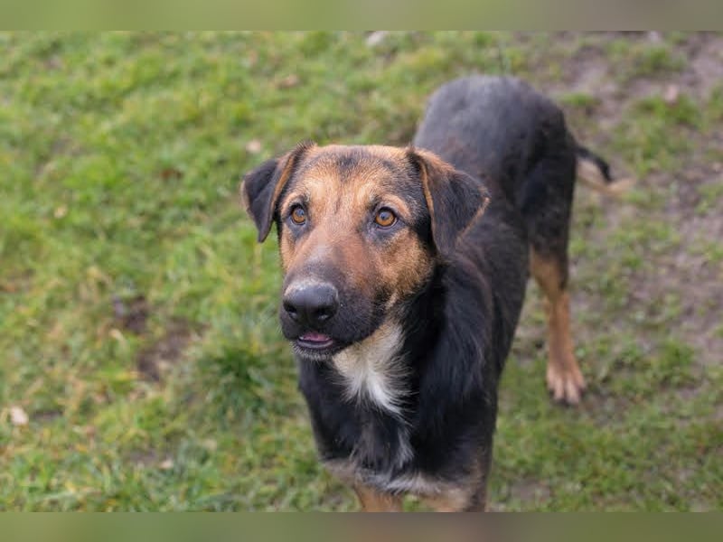 MARIE - Sanfte, stille Schönheit sucht Menschen, die ihr die Welt zeigen