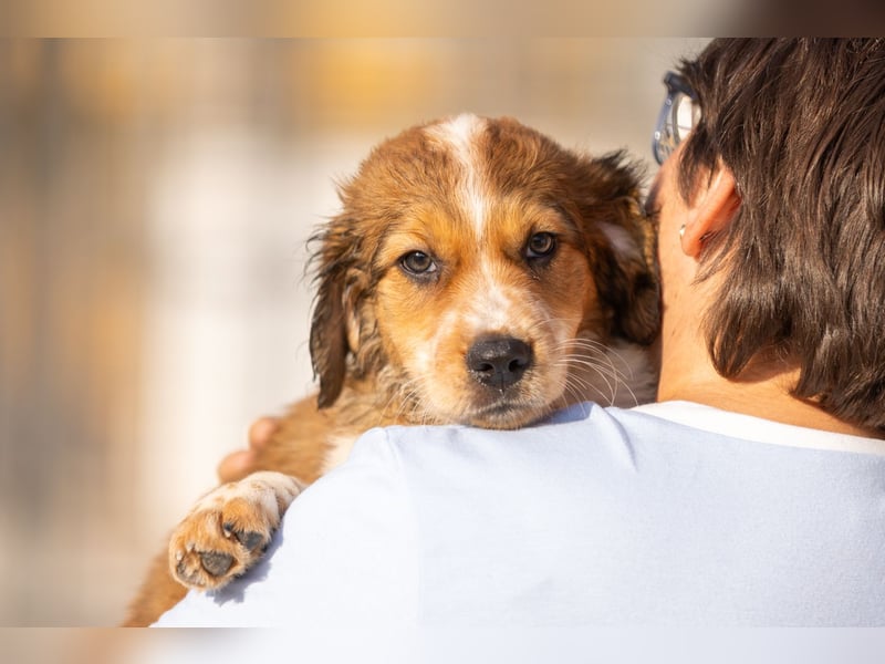 Wer komponiert mit Beethoven sein Happy End?