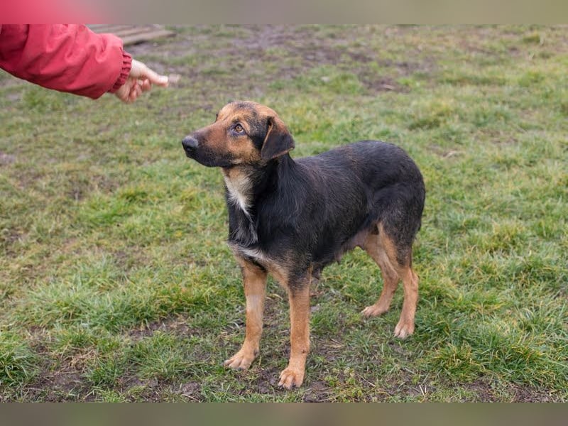 MARIE - Sanfte, stille Schönheit sucht Menschen, die ihr die Welt zeigen