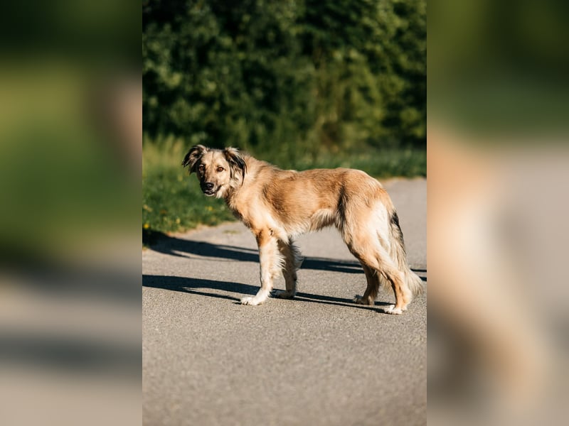 Schüchterner Yannick sucht seine Familie