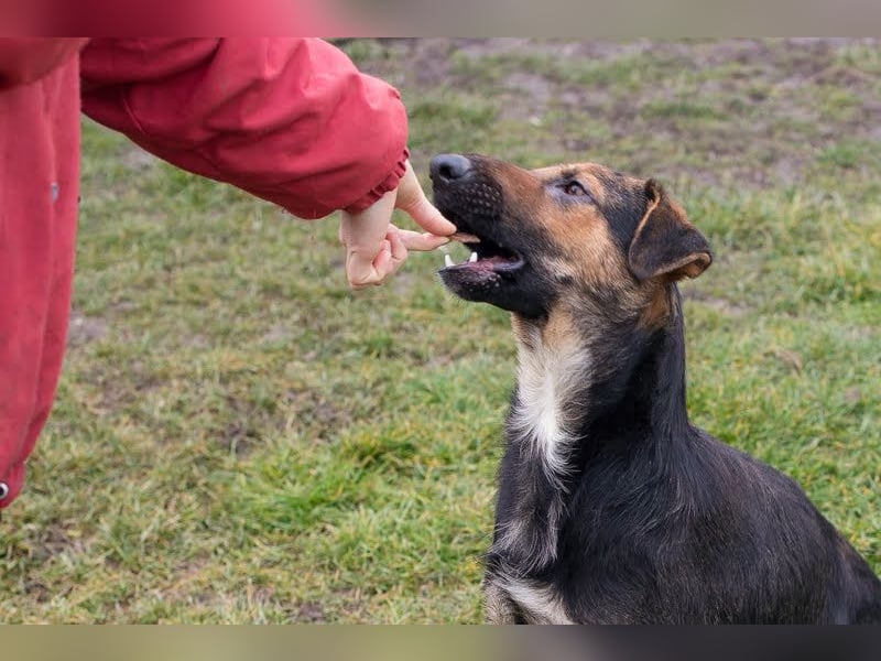 MARIE - Sanfte, stille Schönheit sucht Menschen, die ihr die Welt zeigen