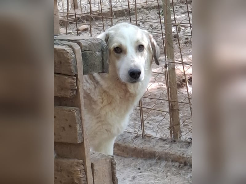 Samantha will gerettet werden