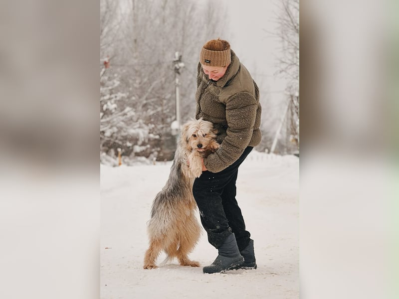 Kleiner Clown Benny sucht sein Zuhause