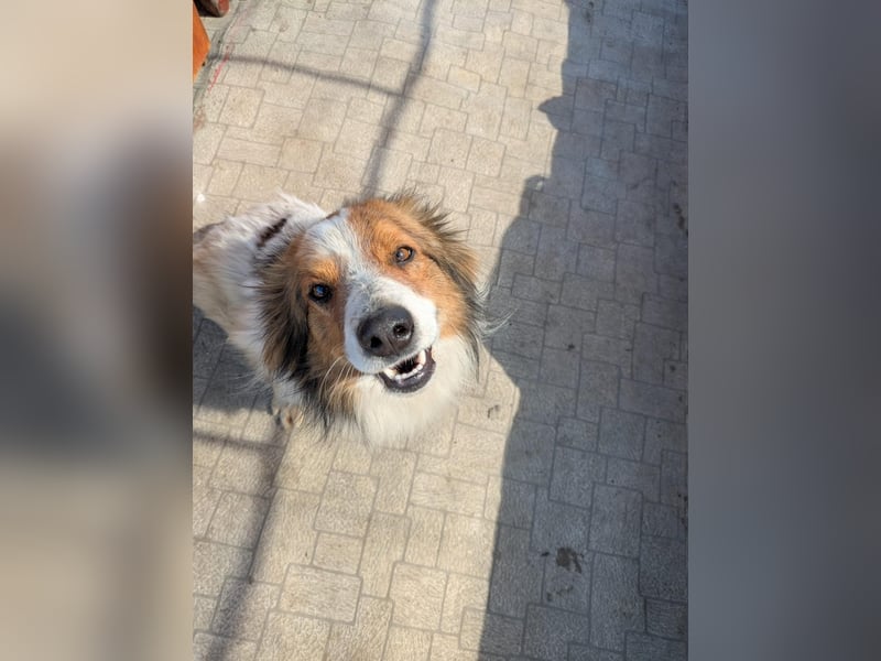 Besonderer Julius sucht perfektes Zuhause