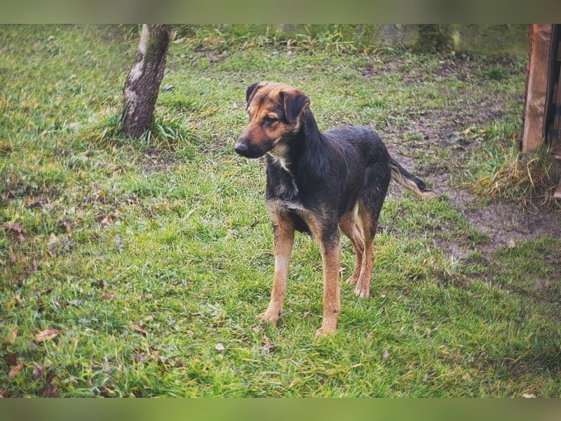 MARIE - Sanfte, stille Schönheit sucht Menschen, die ihr die Welt zeigen