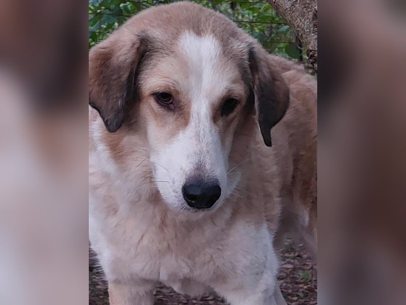 Samantha will gerettet werden