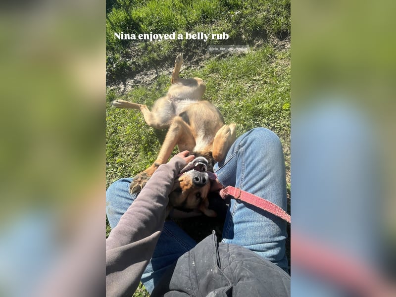 Nina (5) sucht eine aktive Familie