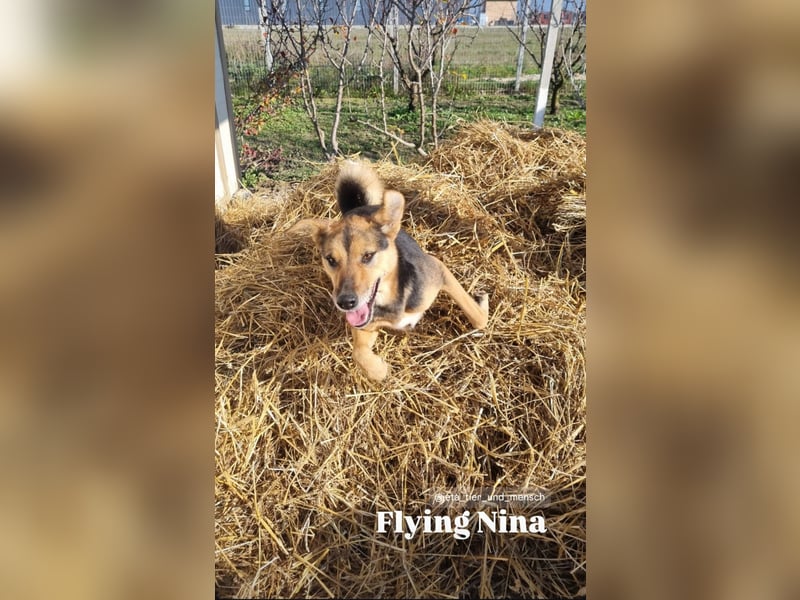 Nina (5) sucht eine aktive Familie