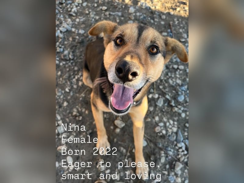 Nina (5) sucht eine aktive Familie