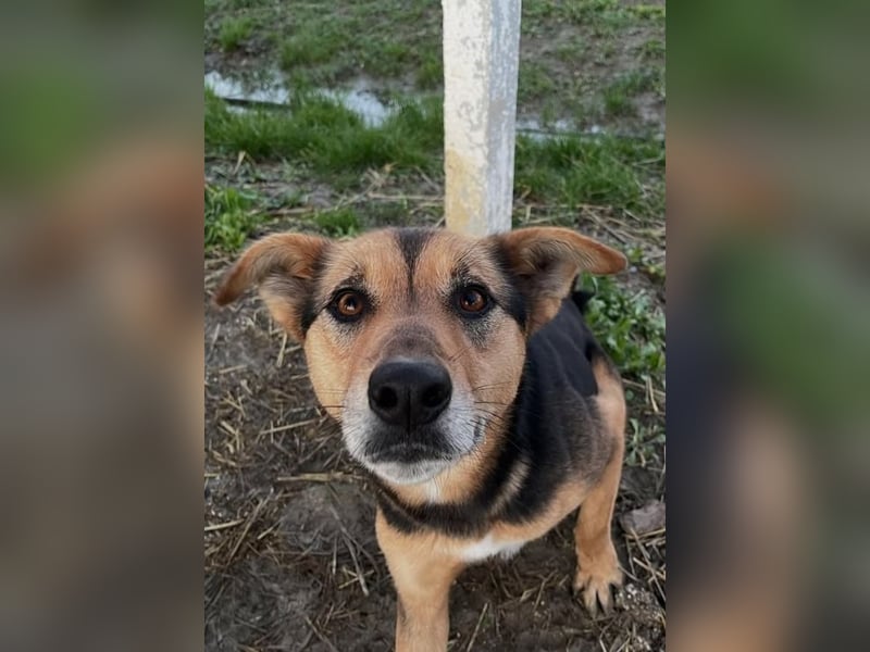 Nina (5) sucht eine aktive Familie