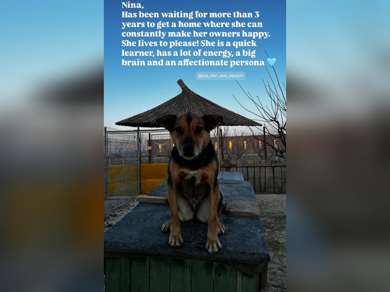 Nina (5) sucht eine aktive Familie