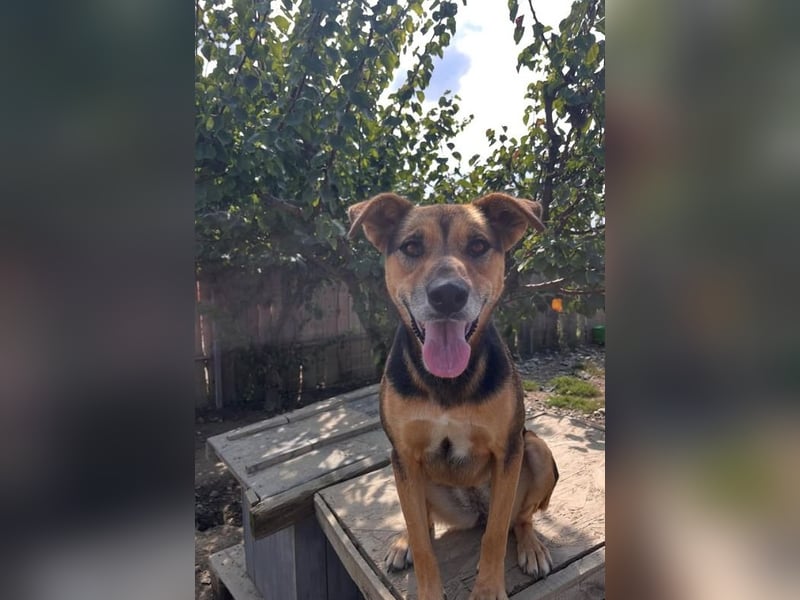 Nina (5) sucht eine aktive Familie