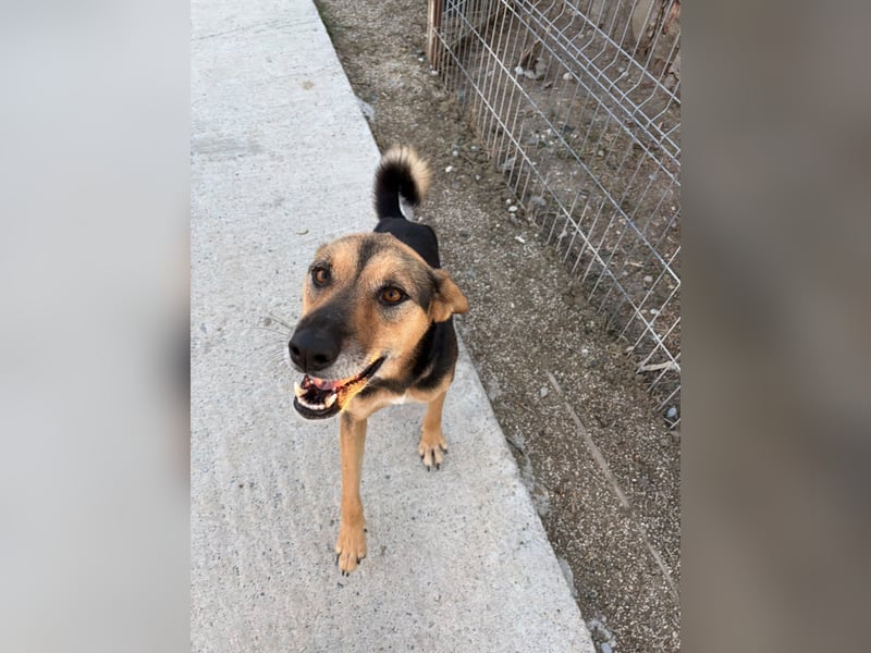 Nina (5) sucht eine aktive Familie