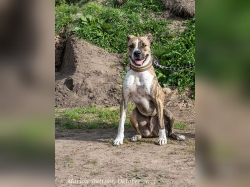 Don Camillo sucht souveräne Menschen