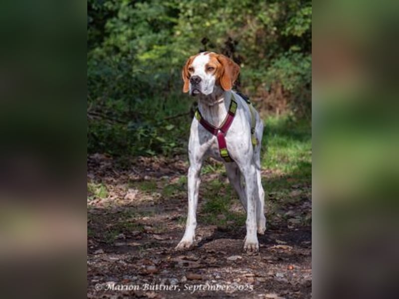 Teo ist ein lustiges Energiebündel