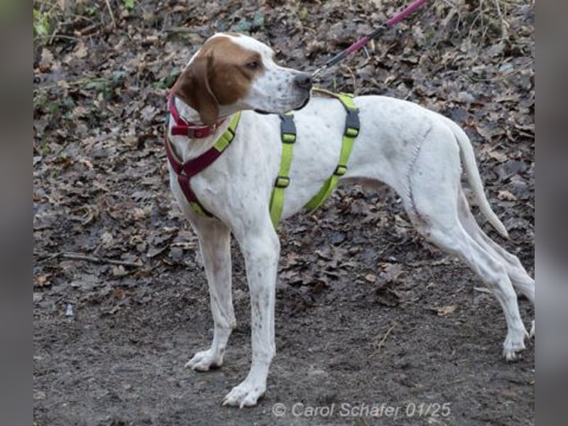 Teo ist ein lustiges Energiebündel