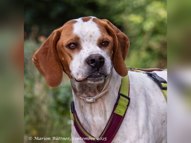 Teo ist ein lustiges Energiebündel