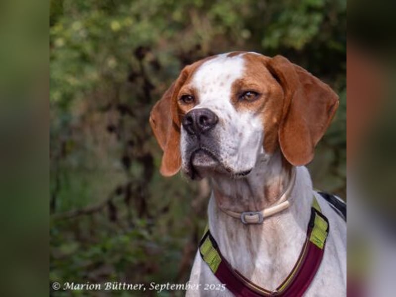 Teo ist ein lustiges Energiebündel