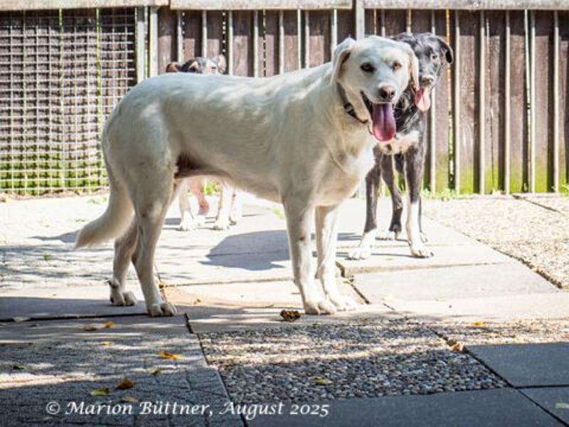 Bianca ist sehr zurückhaltend