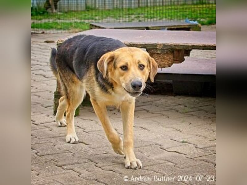 Casper sucht ein liebevolles Zuhause