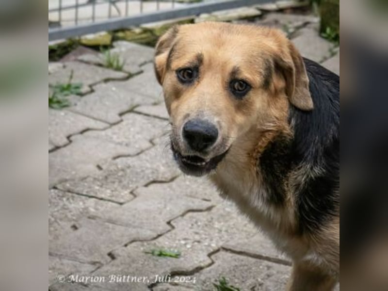 Casper sucht ein liebevolles Zuhause