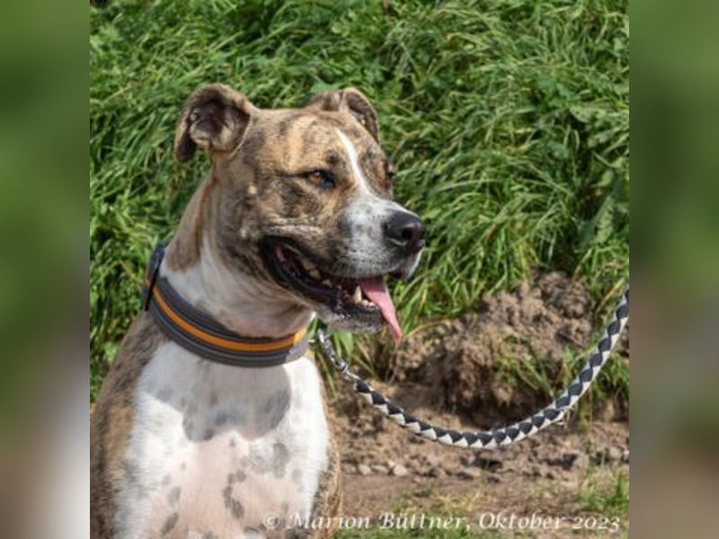 Don Camillo sucht souveräne Menschen