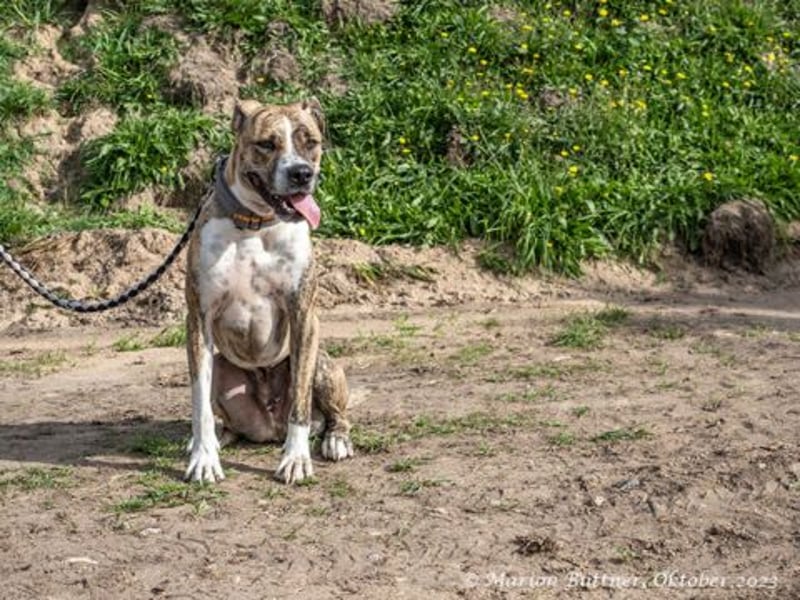 Don Camillo sucht souveräne Menschen