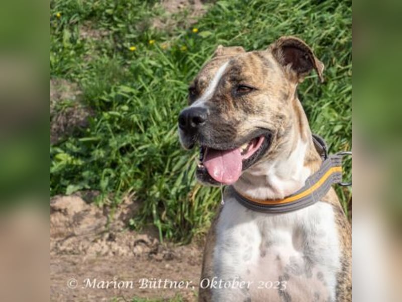 Don Camillo sucht souveräne Menschen