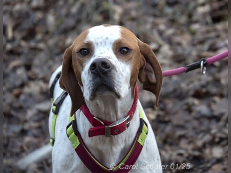 Teo ist ein lustiges Energiebündel