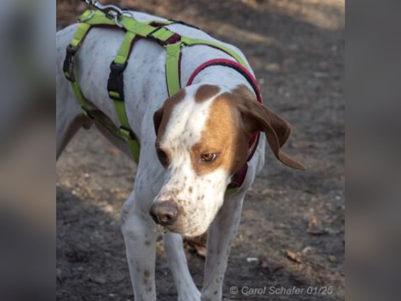 Teo ist ein lustiges Energiebündel