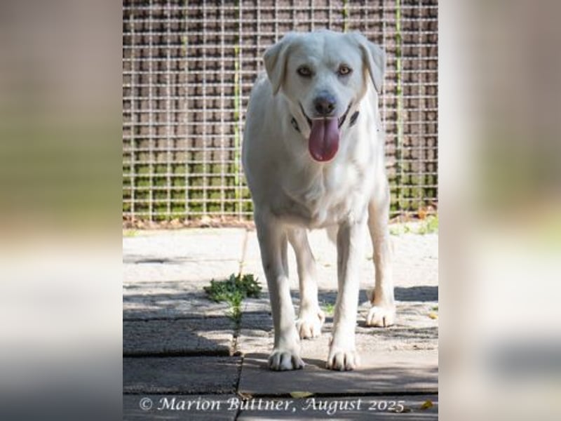 Bianca ist sehr zurückhaltend