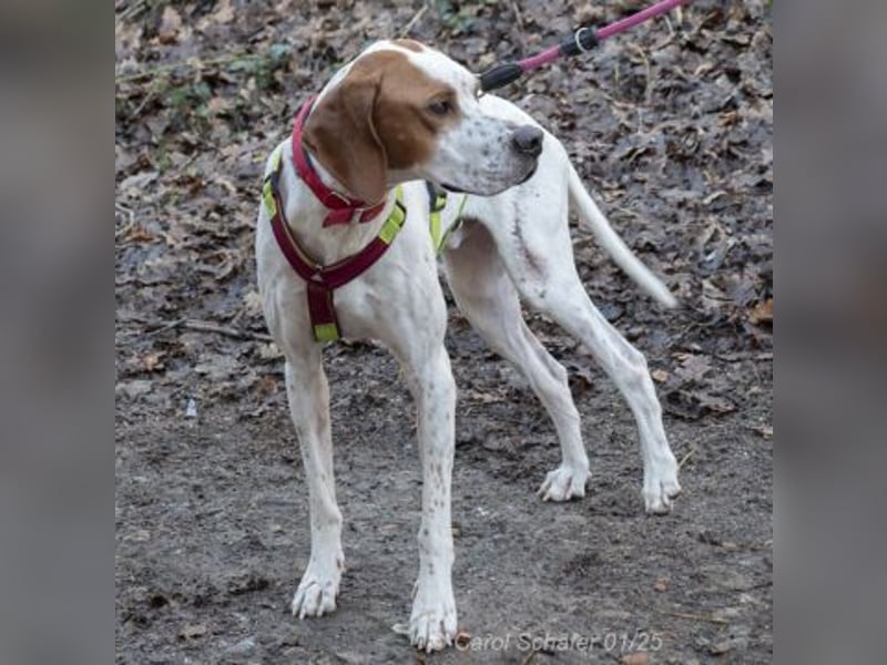 Teo ist ein lustiges Energiebündel