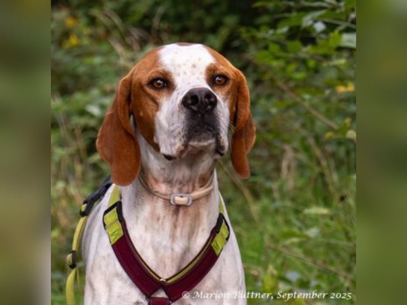 Teo ist ein lustiges Energiebündel