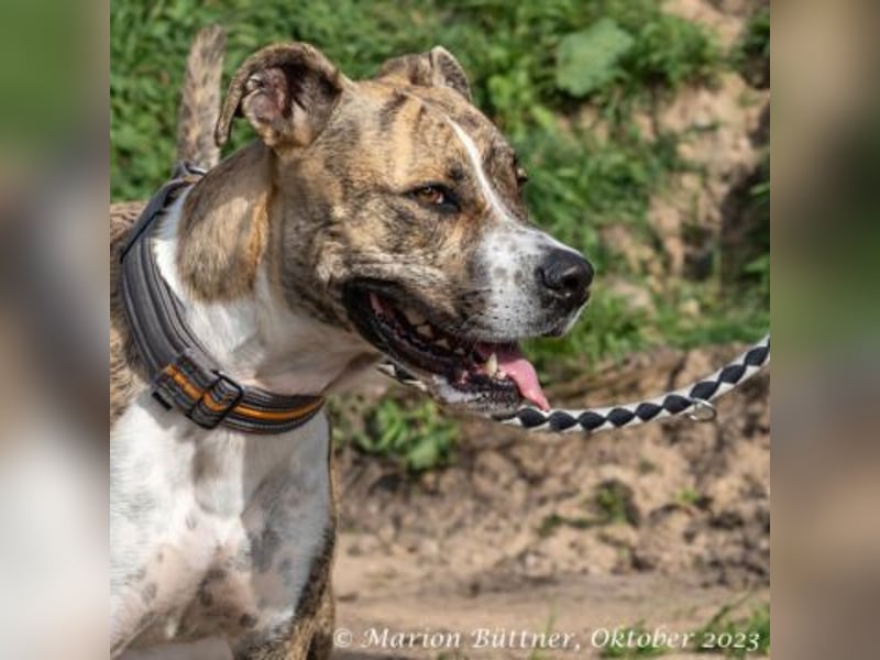 Don Camillo sucht souveräne Menschen