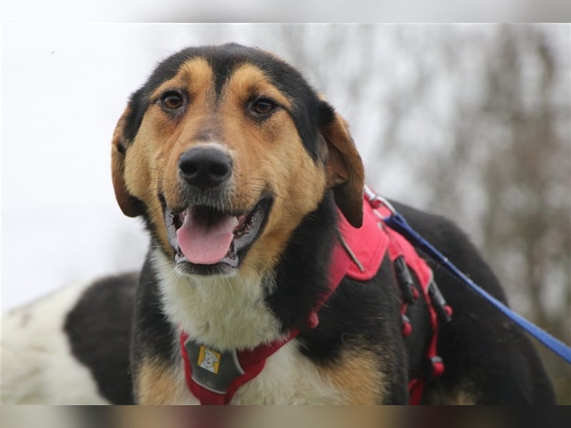 Tilda - ein kleines Energiebündel