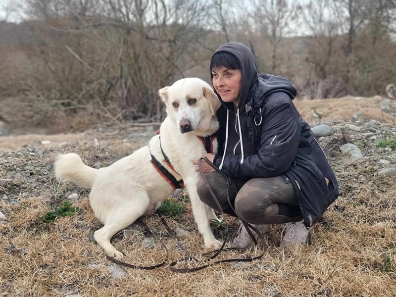 Spilios – ein liebenswerter Wirbelwind sucht erfahrene Menschen