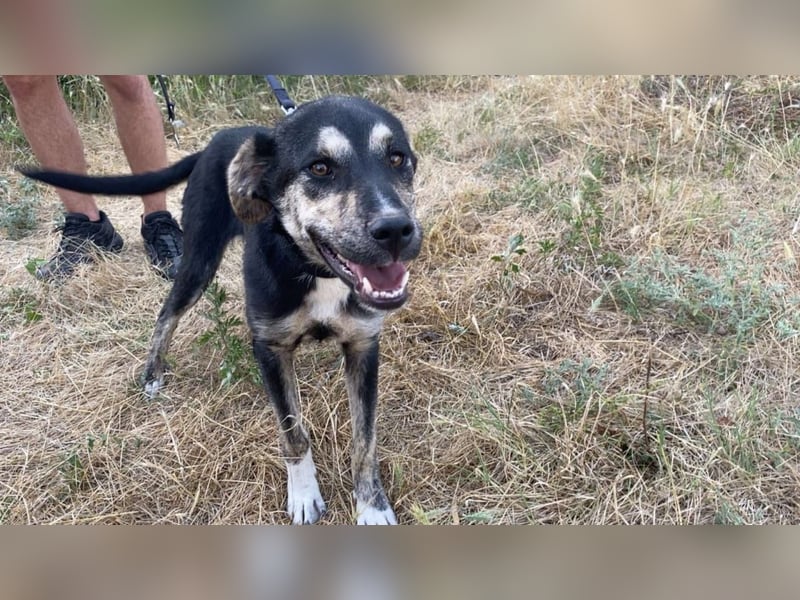 Hi, ich bin die clevere Sally!